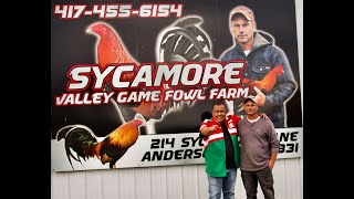 Sycamore Valley de Luke Bresee  (1)