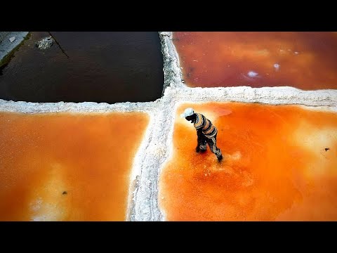 Sahara salt-miners search for a better future in Niger