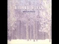 Real Music Album Sampler: Winter Magic by Hilary Stagg