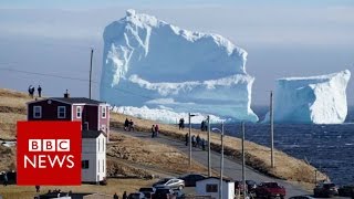 Huge iceberg looms over Canada's Newfoundland coast - BBC News