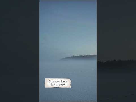 Time lapse of fog on Sturgeon Lake SK | Jan. 11, 2026