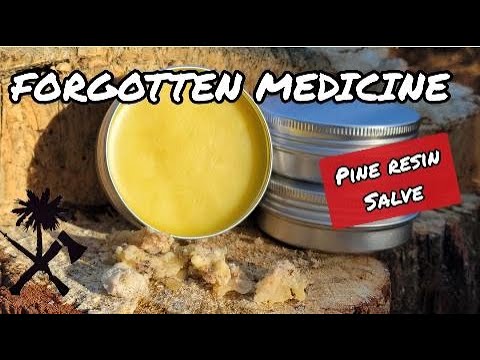 Forgotten Medicine: Pine Resin, Making a Pine Resin Salve