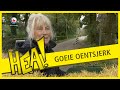 Goeie Oentsjerk | HEA!