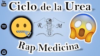 Ciclo de la Urea - Rap Medicina - R4