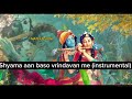 shyama aan baso vrindavan me ( instrumental)