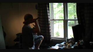 Brief Interviews With Hideous Men- I Set My Friends On Fire cover