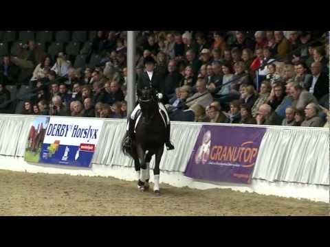 Don Nobless - 23. Hannoveraner Privathengstschau (2013)