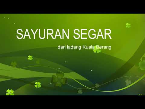 Sayuran Dari Ladang Kuala Berang