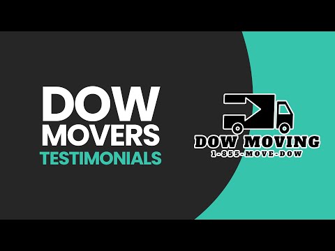 Why I Trust Rotate Digital for SEO Success | Rotate Digital