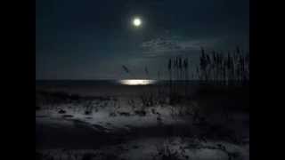 Mick Jagger ~ Dancin In The Starlight