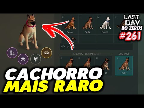 CONSEGUI O CACHORRO MAIS RARO E FORTE DE TODOS - LAST DAY DO ZERO 5 #261