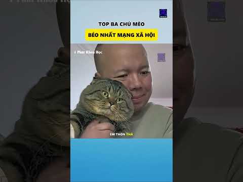 Top ba chú mèo béo nhất mạng xã hội