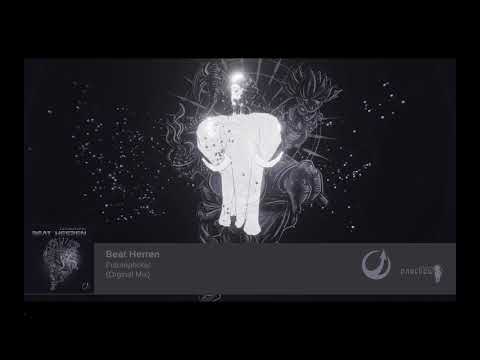 Beat Herren - Futurephonic