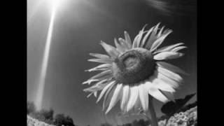 Sul sole - Subsonica