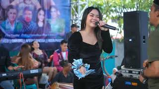 Download lagu BENALU CINTA - ERIKA SYAULINA Dian Bro Music Wedd  Siska & Faizal  Minggu 19 Januari 2025 mp3