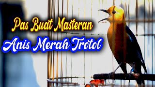 Download lagu ANIS MERAH ISIAN MEWAH, MASTERAN ANIS MERAH mp3 Download lagu ANIS MERAH ISIAN MEWAH, MASTERAN ANIS MERAH mp3