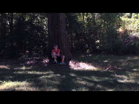 The Mixtape Junkies - February