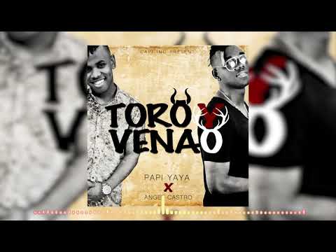 Papi Yaya x Angel Castro - Toro y Venao [ Cover Audio ]