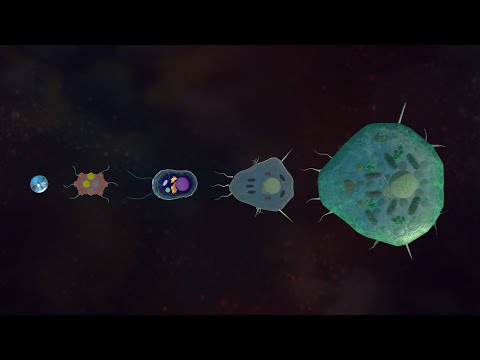 The game that evolved for sixteen years