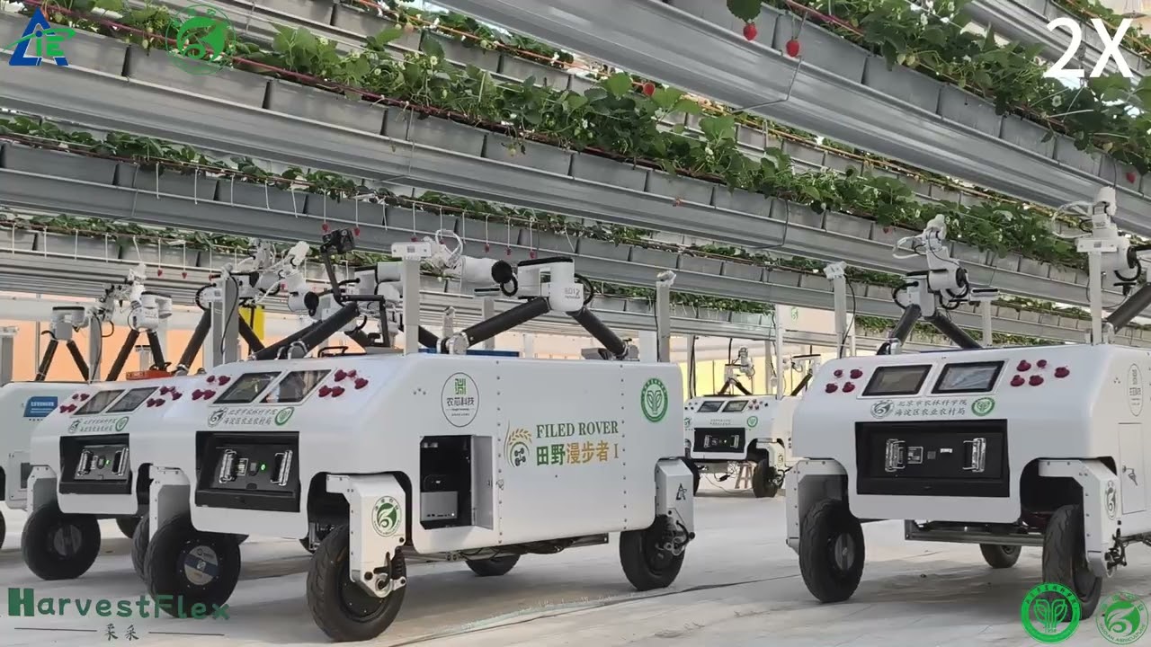 Strawberry Harvesting Robot