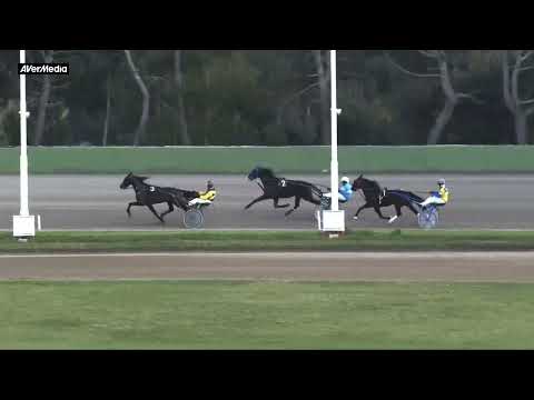 Prova di qualifica cavalli di 3 anni - martedì 6 dicembre 2022