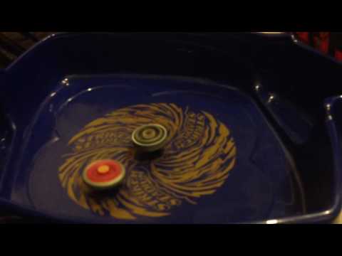 Twisted tempo vs thermal lacerta