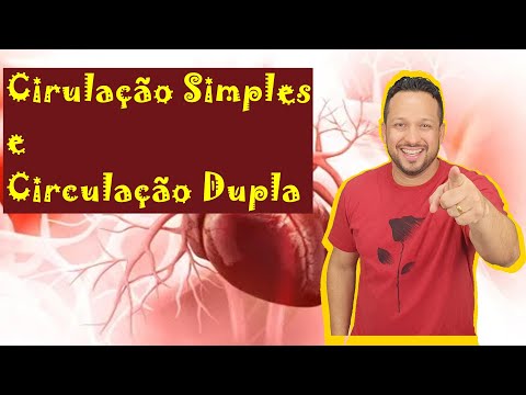 Simple and Double Circulation - Types of circulation in vertebrates - Comparative Physiology