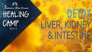 Sound &amp; Color Therapy for Liver, Kidney &amp; Intestine Detox | Healing Camp #Day 9