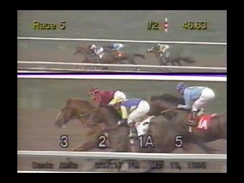 1995 San Felipe Stakes