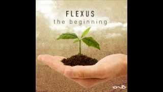 Flexus - The Beginning