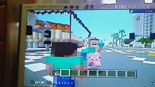 [PS3]マイクラカスタムスキン紹介