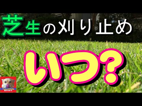 2023 年の草刈りの時期は何時ですか