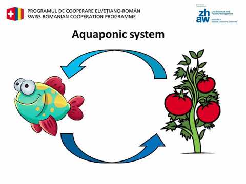 , title : '5_Sistemele de Acvacultură Recirculantă'