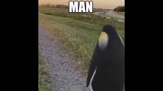 Download lagu mistfulplays - (untitled) mp3