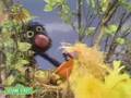 Sesame Street Grover Finds A Bird S Nest