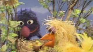 Sesame Street: Grover Finds A Bird&#39;s Nest