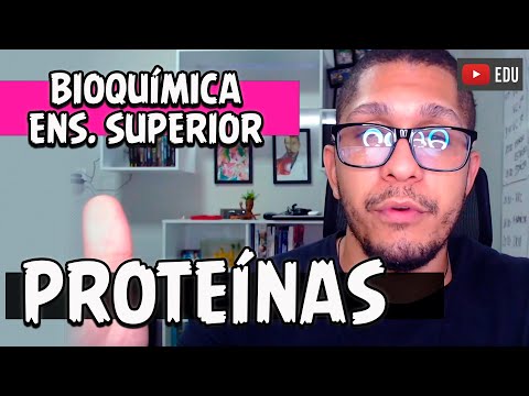 Estrutura e Função das Proteínas | Curso Bioquímica Ens. Superior (AULA 4)