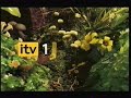 ITV 1 Butterfly Logo Voiceover 2008