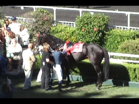 Gozzip Girl wins American Oaks