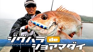 ジグでマダイが釣れる!ヒロセマンのショアジギング「ジグパラdeショアマダイ」【メジャークラフト】