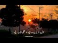 Urdu Poetry وہ کھلا گلاب دیکھے تیرا شباب دیکھے Dani Writes