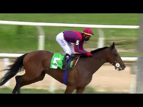 201106 c01 - DOG MALLORCA - HIPODROMO LAS PIEDRAS