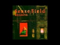 sensefield-shallow grave