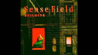 sensefield-shallow grave