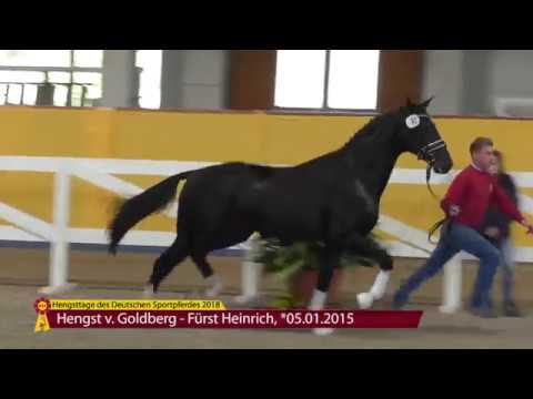 Goldberg - Fürst Heinrich *2015