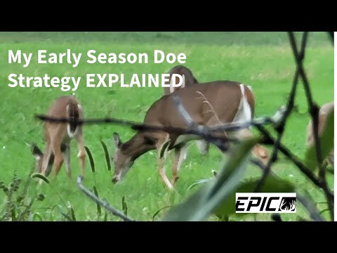 My Early Season Doe Hunting Strategy