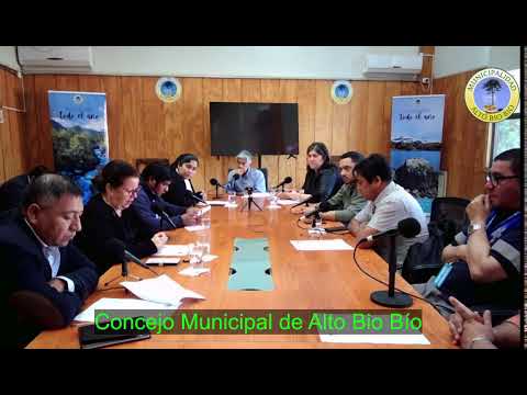 Concejo Municipal Alto Bío Bío.