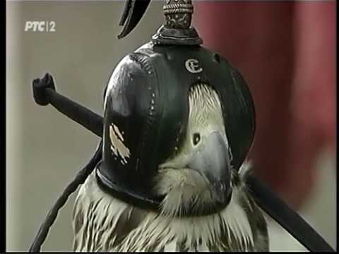 Trag u prostoru -  Saga o gospodarima brzine