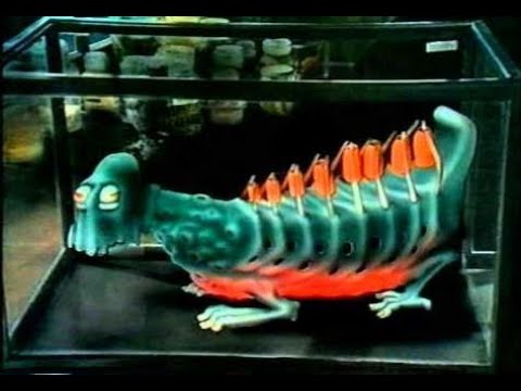 Belcampo - Het Grote Gebeuren (compleet)