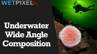 Download lagu 5 Types of Underwater Wide Angle Photographs mp3